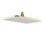 Bát sen American Standard FFASS515CS dòng EasySET, màu vàng bóng