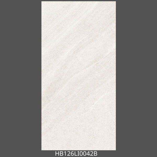Gạch 60x120 HB126LI0 Porcelain mờ