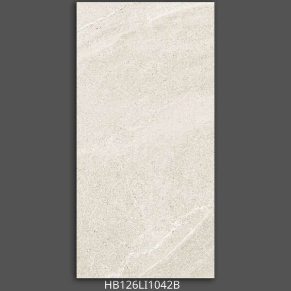 Gạch 60x120 HB126LI1 Porcelain mờ