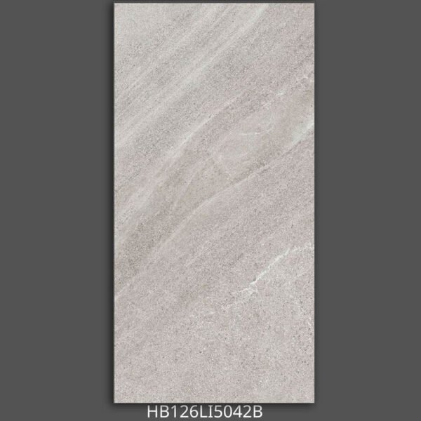 Gạch 60x120 HB126LI5 Porcelain mờ