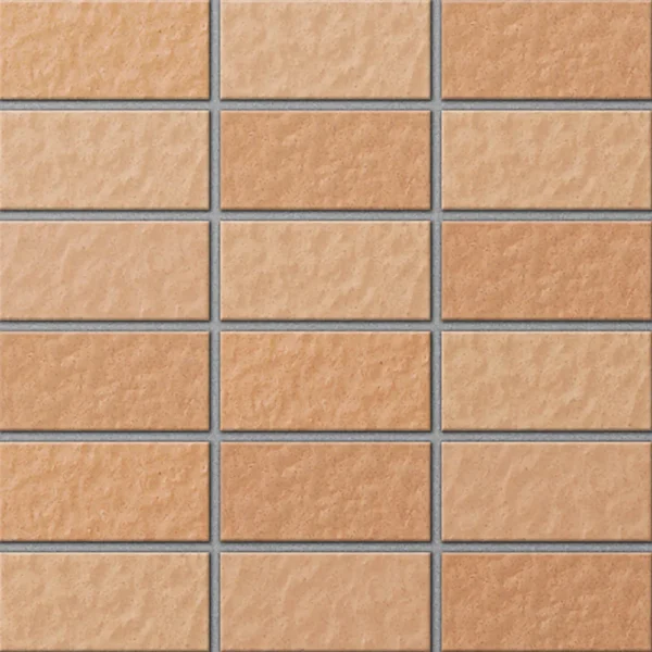 Gạch kiến trúc INAX-255/ VIZ-10