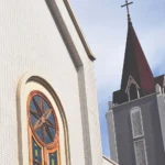 Gạch kiến trúc INAX-255/ VIZ-1 - Ảnh 2