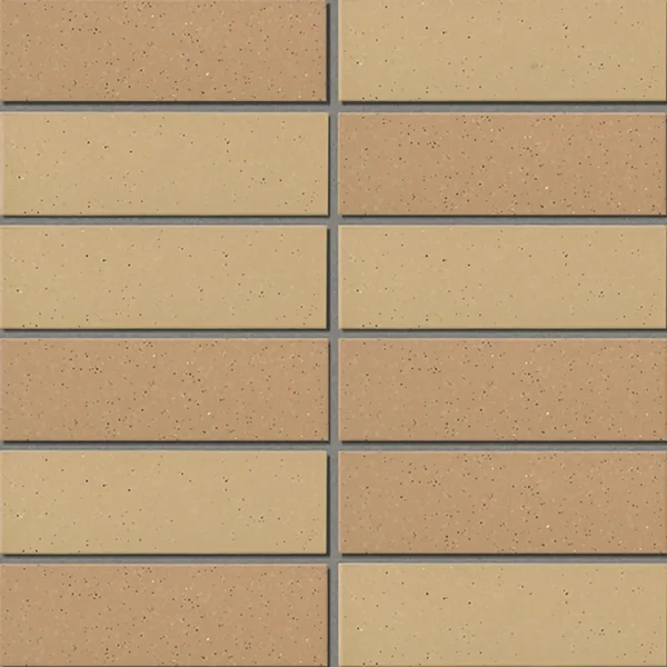 Gạch kiến trúc INAX-355/ EAC-3 bộ sưu tập EAC EARTH COLOR BORDER