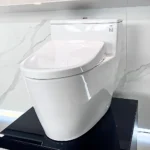 Bồn cầu TOTO MS625CDW23#XW 1 khối (Giấu dây), nắp điện tử TCF47360GAA - Ảnh 2