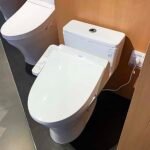 Bồn cầu TOTO MS855CDW17#XW 1 khối, (Giấu dây) nắp điện tử TCF23460AAA - Ảnh 4