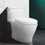 Bồn cầu TOTO MS887RT2#XW 1 khối, nắp êm TC393VS, xả gạt - Ảnh 4