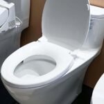 Bồn cầu TOTO MS887RT2#XW 1 khối, nắp êm TC393VS, xả gạt - Ảnh 5