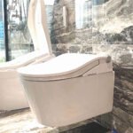 Nắp bồn cầu điện tử WASHLET TOTO TCF801CZ#NW1 dòng RW - Ảnh 2