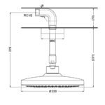 Bát sen gắn trần TOTO TBW01003B1A#PFG tròn 220mm mạ vàng Pháp bóng - Ảnh 2