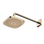 Bát sen gắn tường TOTO TBW02003BA#PBR Vuông 220mm mạ đồng bóng