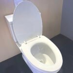 Nắp bồn cầu TOTO TC395VS#W - Ảnh 3